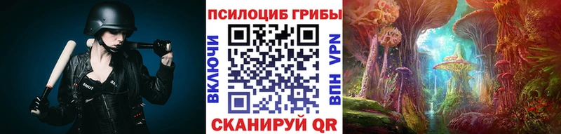 площадка Telegram  продажа наркотиков  Никольск  Псилоцибиновые грибы мицелий 